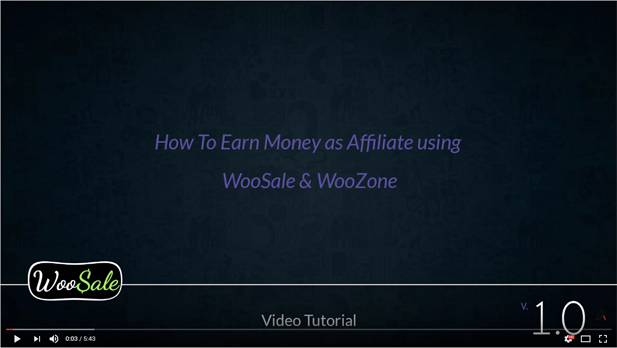 WooCommerce Amazon Affiliates - WordPress Plugin - 27