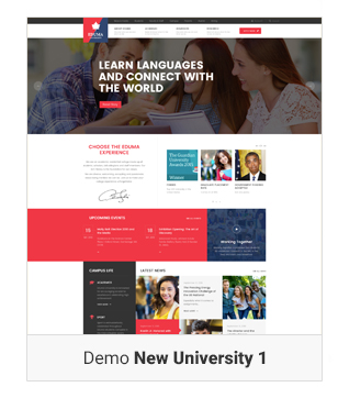 Education WordPress theme - New Demo University 1