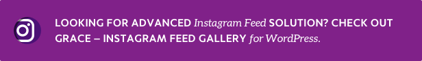 Grace Instagram Feed Gallery for WordPress info