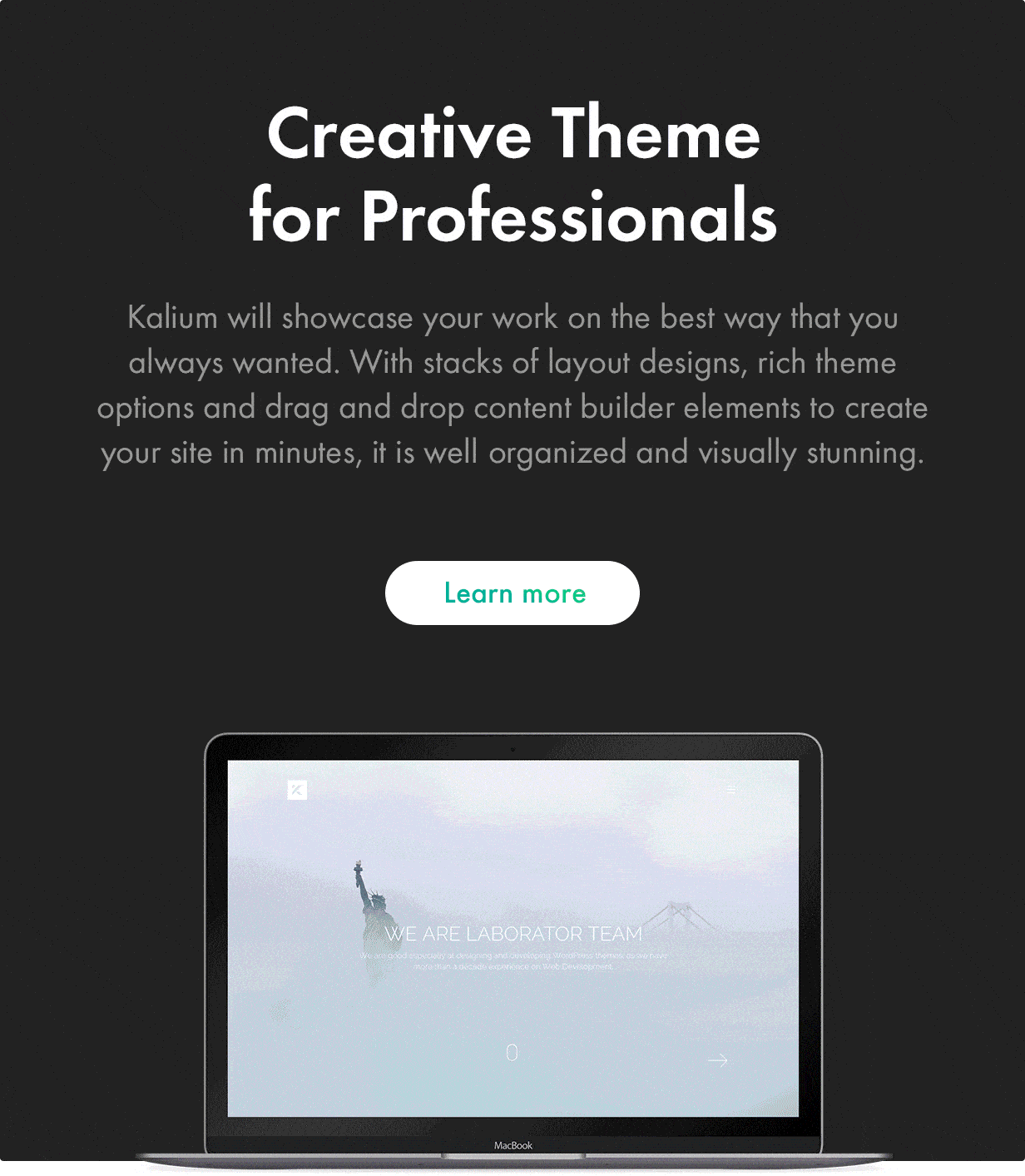 Creative Theme for Proffesionals