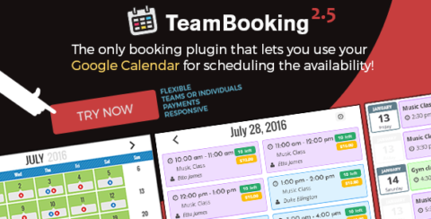 Team Booking - WordPress booking system