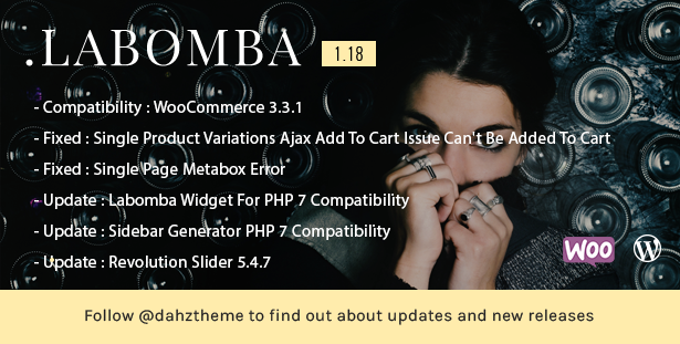 Labomba - Responsive Multipurpose WordPress Theme - 2