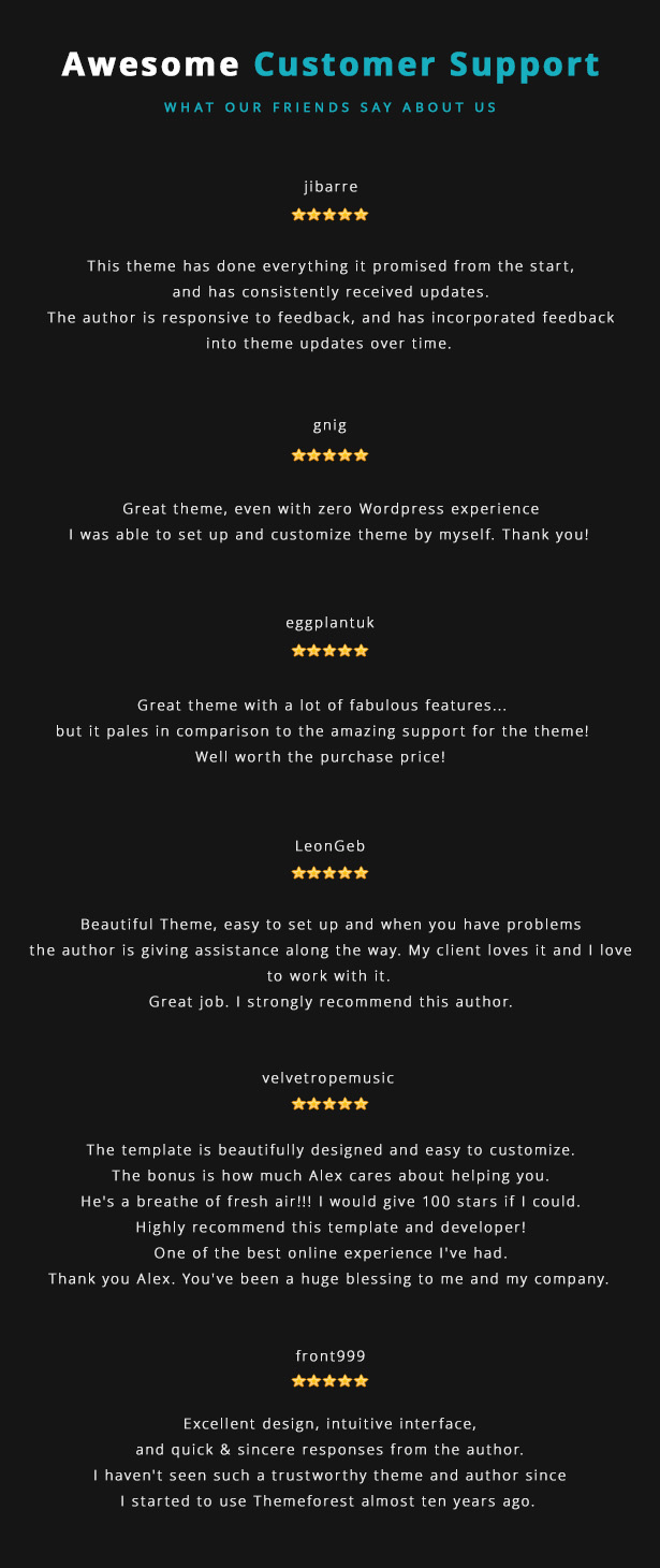 Lucille Music WordPress Theme - Awesome Customer Support