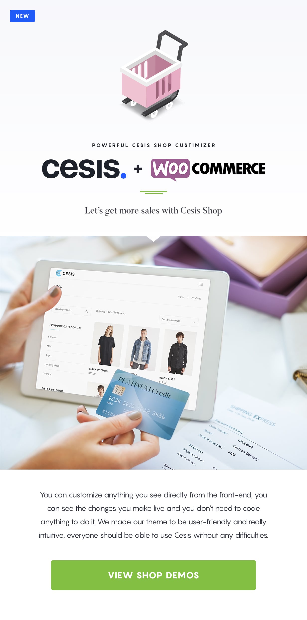 Cesis | Responsive Multi-Purpose WordPress Theme - 5
