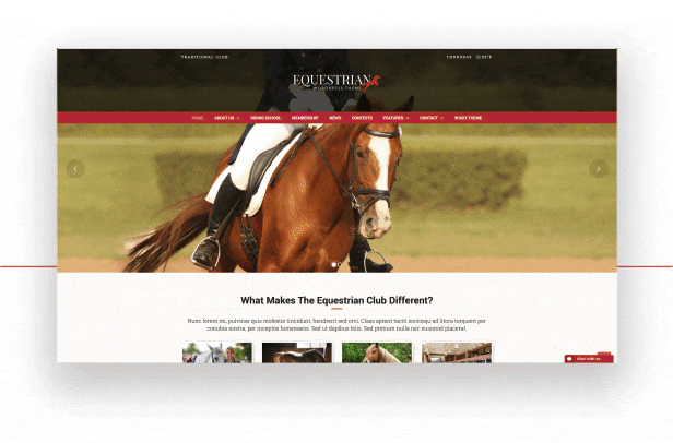Equestrian - Horses and Stables WordPress Theme - 3