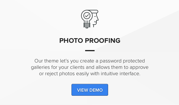 Theme for photographers with photo proofing