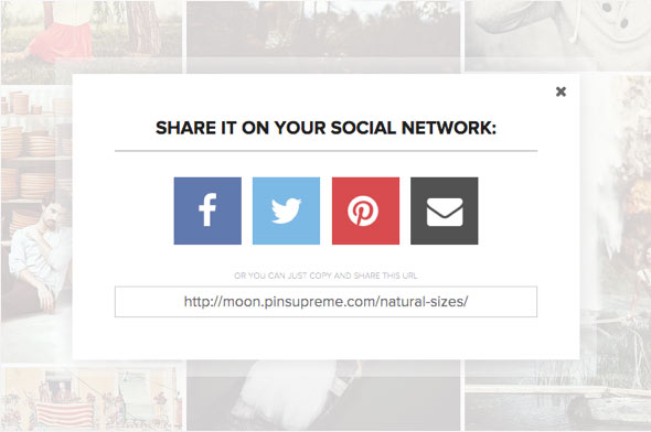 Wordpress template for photography with social networks sharing