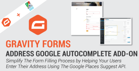 Gravity Forms Address Google Autocomplete