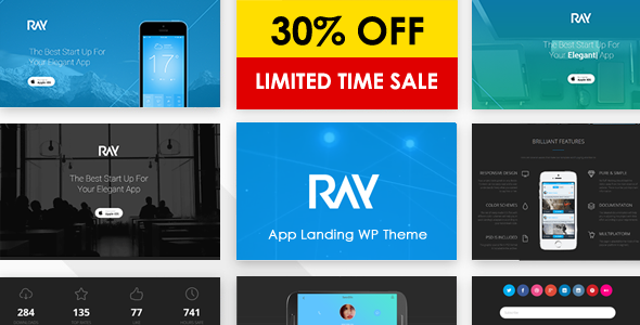 Ray - App Responsive WordPress Theme - Software Technology