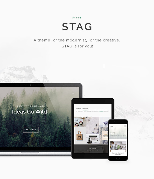Meet Stag - A WordPress theme for the modernist, for the creative.