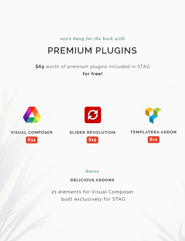 Stag WordPress theme included plugins