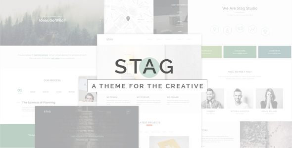 Stag - Portfolio Theme for Freelancers and Agencies