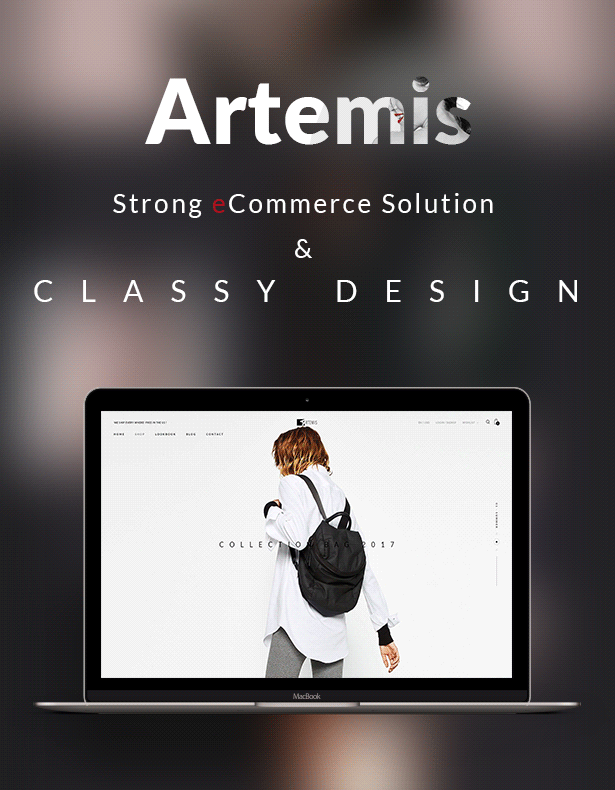 Artemis WooCommerce WordPress Theme