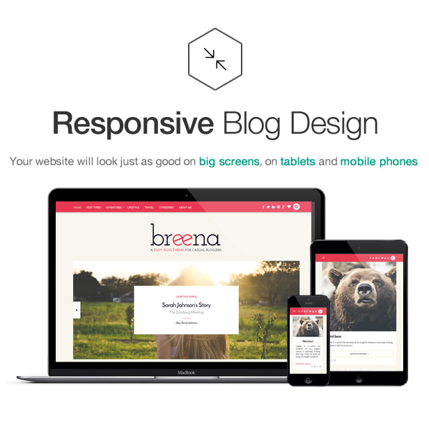 Breena - A Responsive WordPress Blog Theme - 5