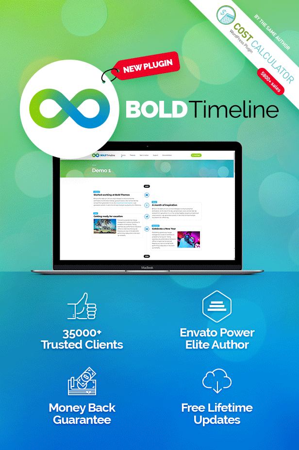 Bold Timeline - WordPress Timeline Plugin - 4