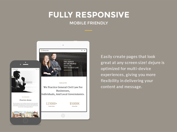Dejure Responsive WP Theme for Law firm & Business - 9