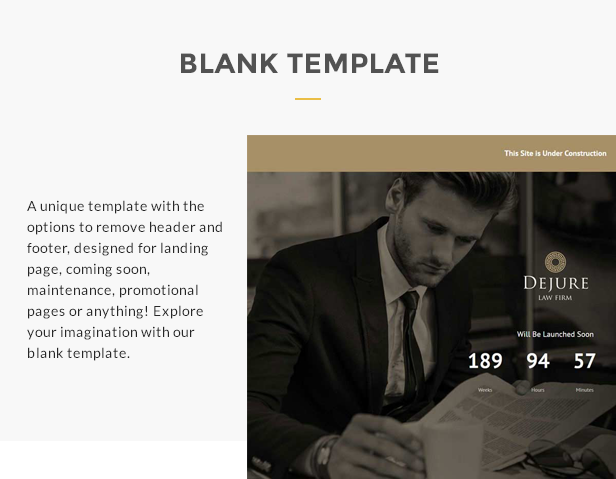 Dejure Responsive WP Theme for Law firm & Business - 8