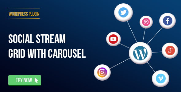 Social Stream for WordPress With Carousel