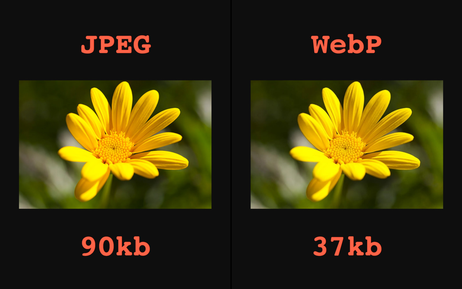 Automatic WebP & Image Compression for WordPress & WooCommerce - 11