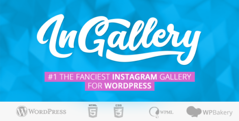 InGallery - WordPress Plugin to Display Instagram Feed