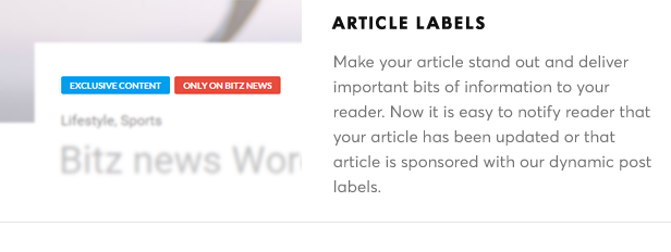 Bitz - News & Publishing Theme - 18