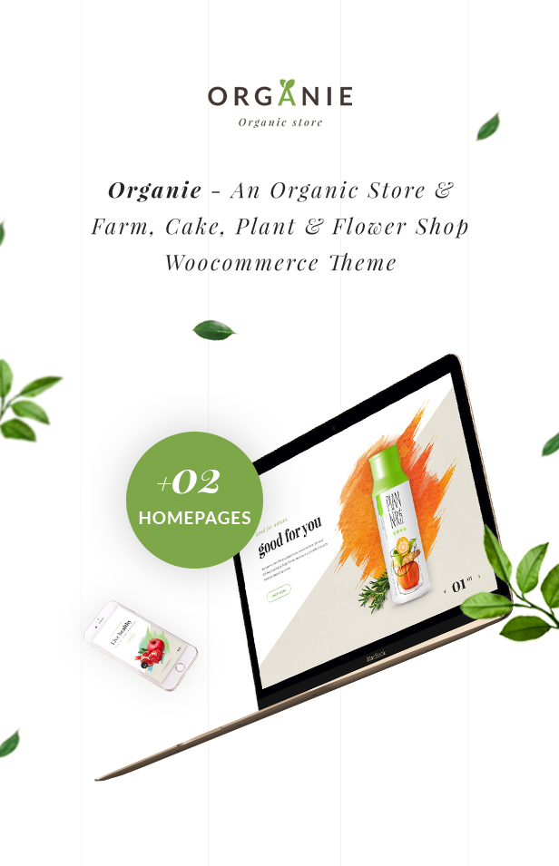Organic Store WordPress theme - New 2 homepages