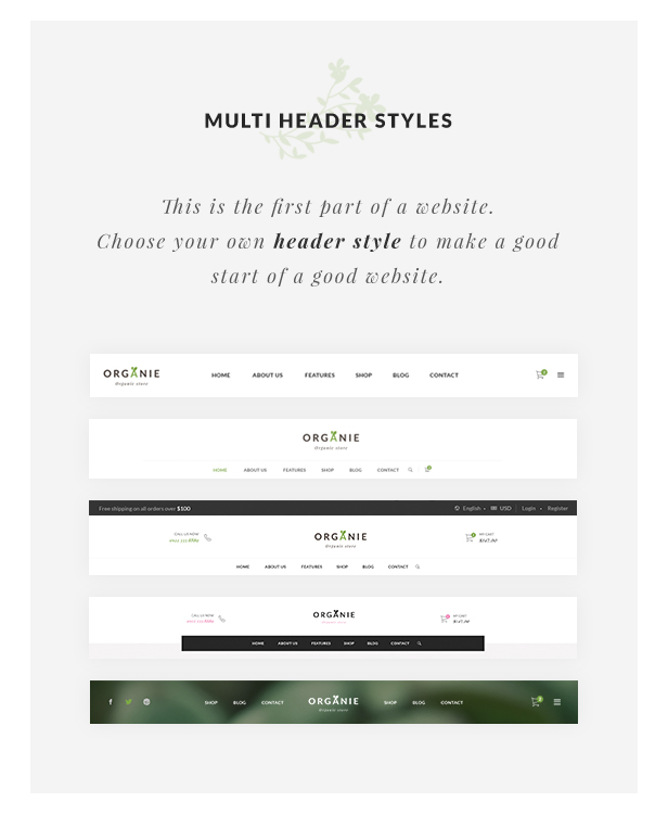 Organic Store WordPress theme - Multiple Header Styles
