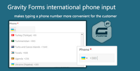 Gravity Forms international phone input