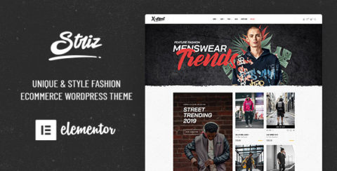 Striz - Fashion Ecommerce WordPress Theme