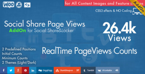 Social Share Page Views AddOn - WordPress