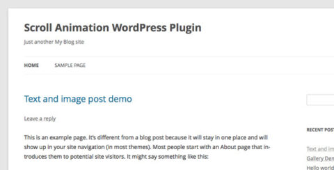 Scroll Animation WordPress Plugin