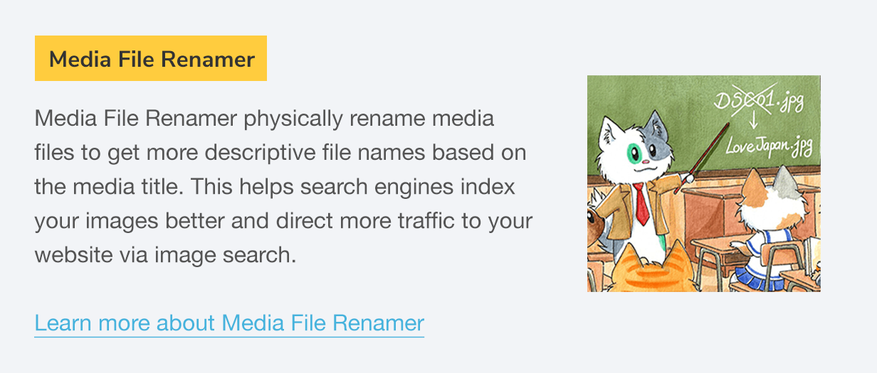 Media File Renamer: Media File Renamer physically rename media files to get more descriptive file names based on the media title. This helps search engines index your images better and direct more traffic to your website via image search.