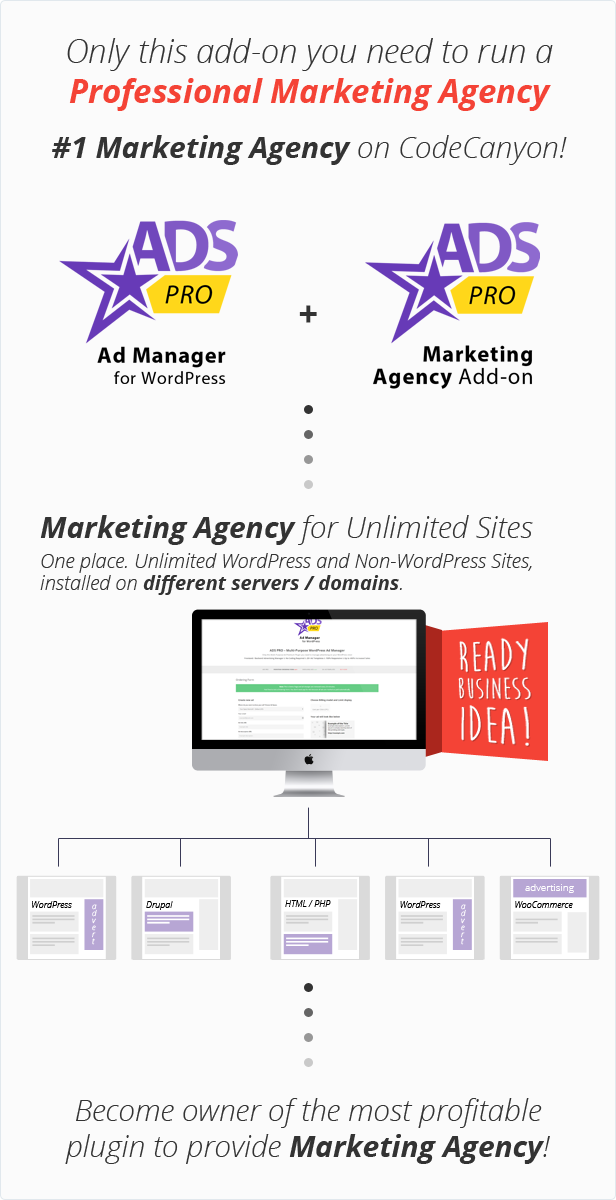 Ads Pro Add-on - WordPress Marketing Agency - 2