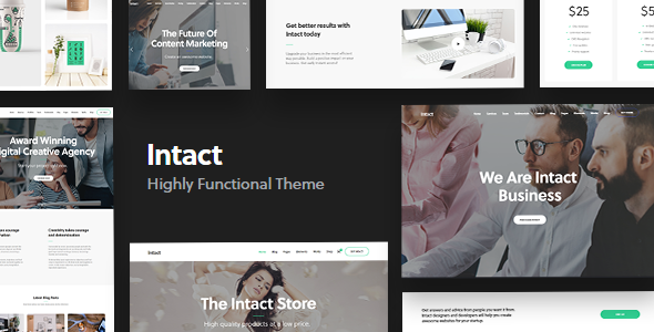 Intact - Multi-Purpose WordPress Theme